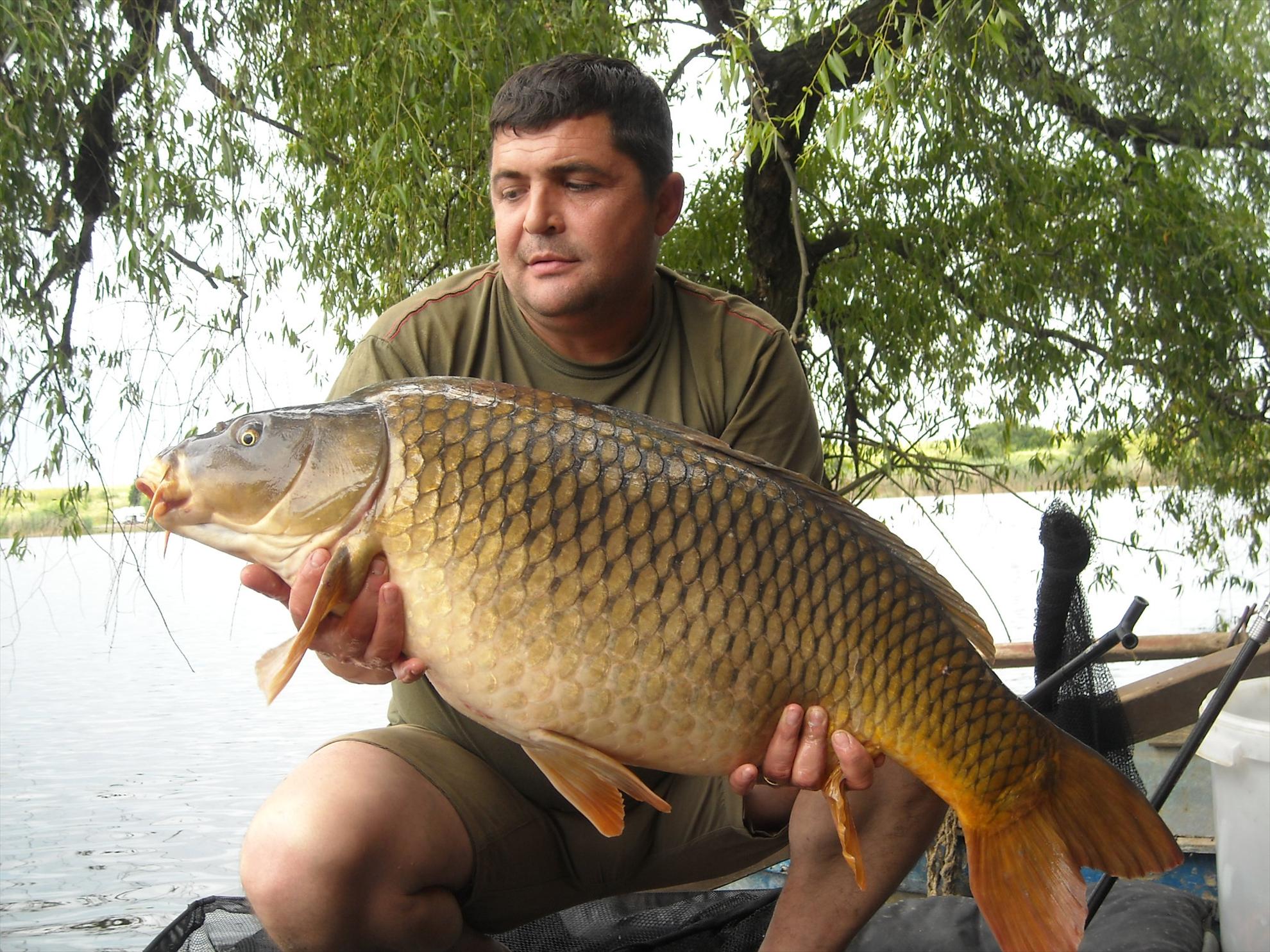 Senior Trophy - 2010 - dscn5880.jpg